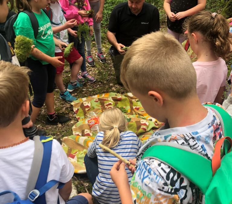 Waldführung für unsere dritte Klasse