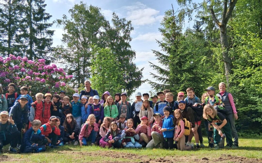 Unvergessliche Tage im Schullandheim