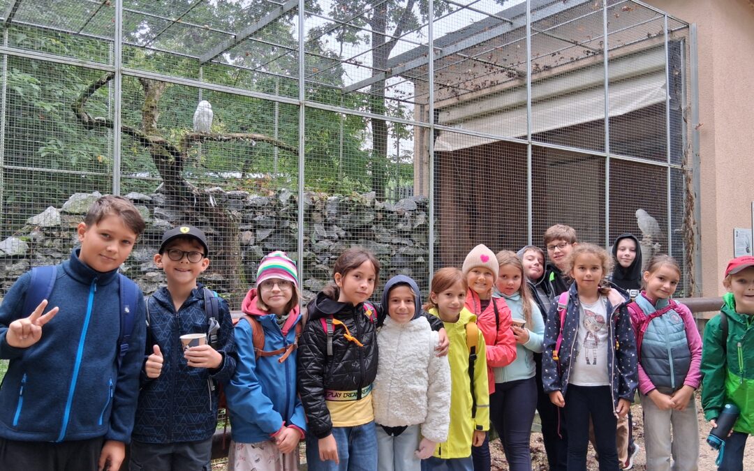 Fitness, Fun und Chillen in den Sommerferien