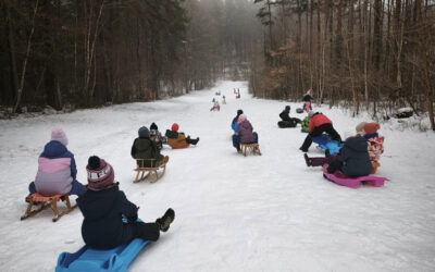 Rodelspaß am Weinberg