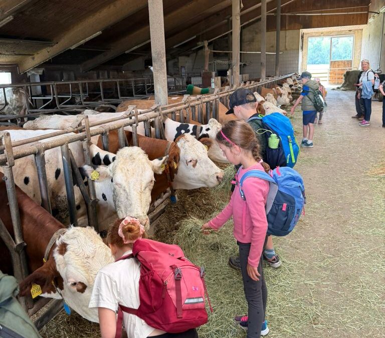 Betreuung in den Pfingstferien
