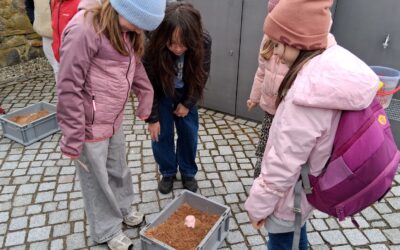 Vulkanausbruch am 1. April